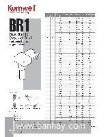 Khuôn hàn hóa nhiệt BR1